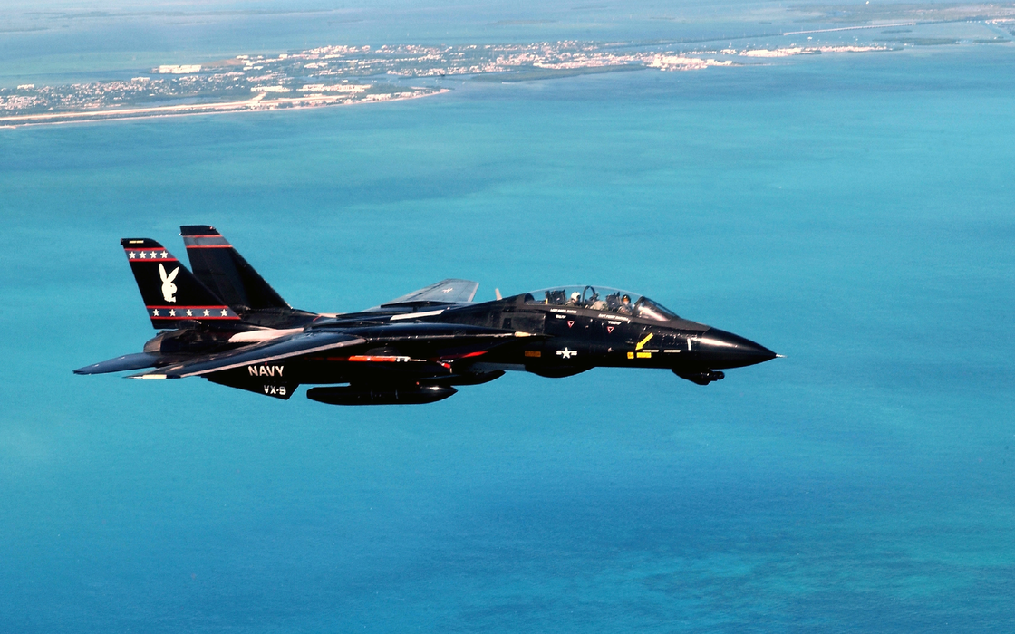 F-14战斗机（F-14 fighter）图片壁纸