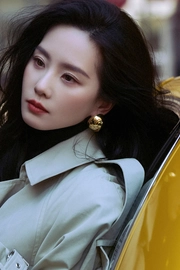 刘诗诗冷都女范儿街拍壁纸