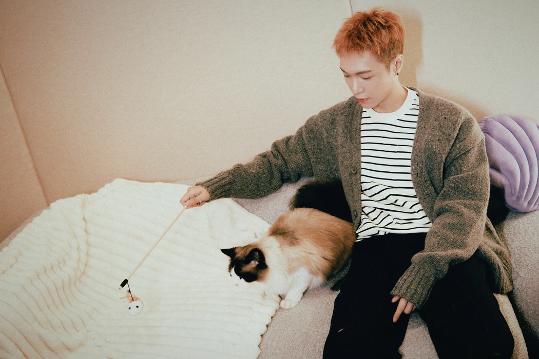张艺兴灰色开衫毛衣写真壁纸